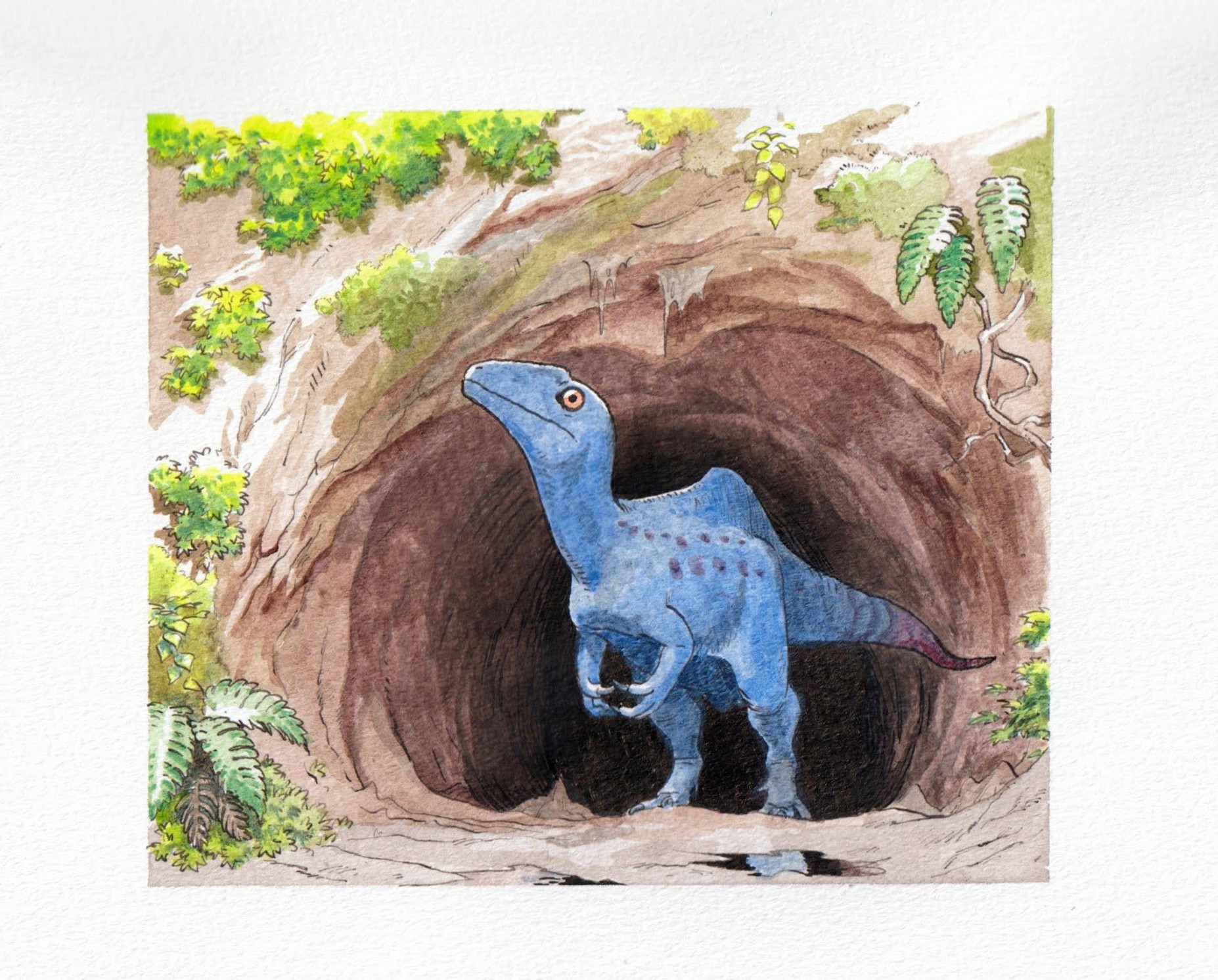 original, commentary, highres, painting (medium), traditional media, watercolor (medium), altispinax, animal focus, black eyes, bush, cave, closed mouth, colored sclera, dinosaur, fern, no humans, orange sclera, paleoart, puddle, solo, theropod, user haug8323