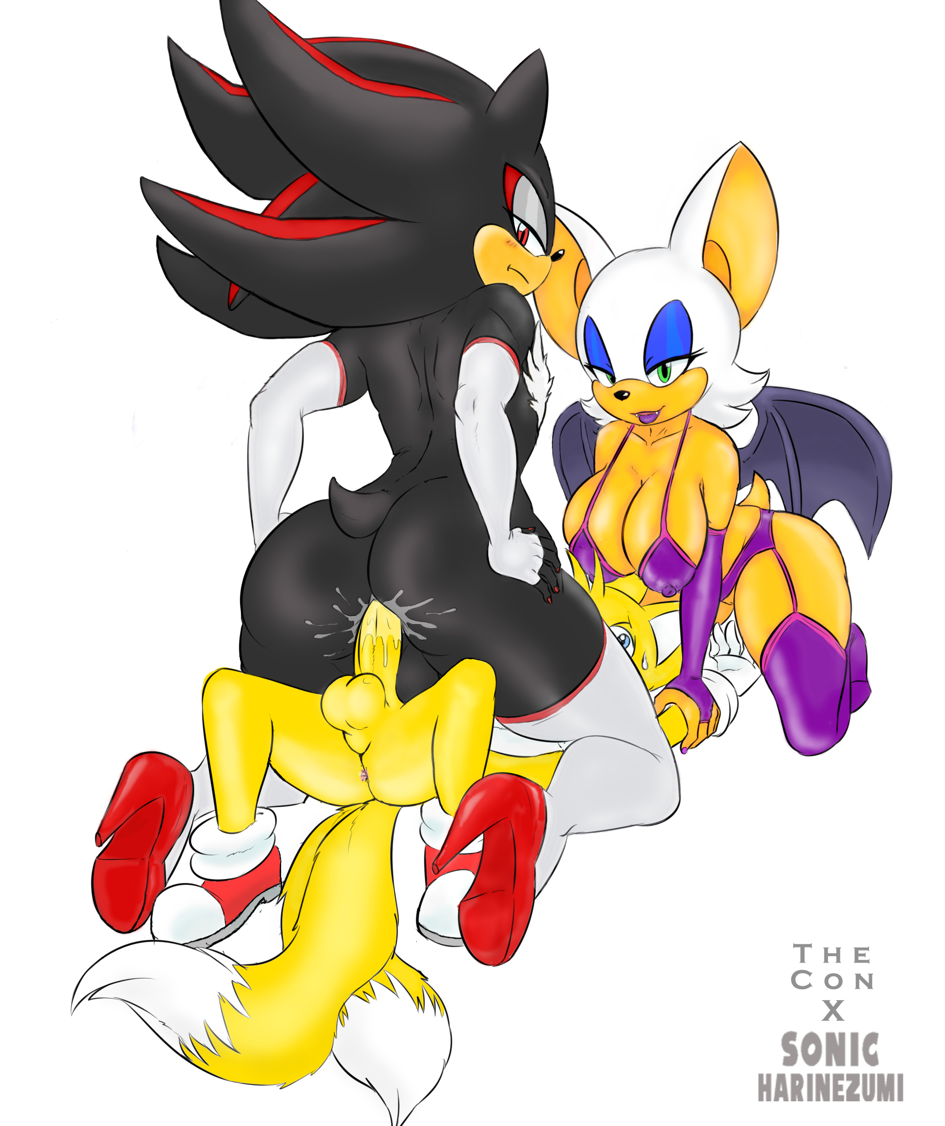 Rule34 – If it exists, there is porn of it / sonicharinezumi, thecon, rouge the bat, shadow the hedgehog, tails / 413187