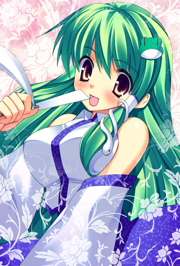 takeda aranobu, kochiya sanae, touhou, 1girl, breasts, brown eyes, detached sleeves, female focus, green hair, solo