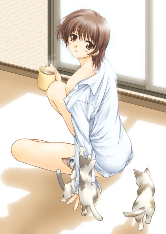 original, arm support, baby animal, blush, brown eyes, brown hair, cat, cup, dress shirt, kitten, looking back, mug, shirt, short hair, solo