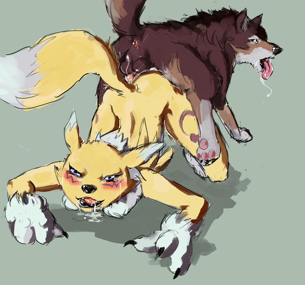 Rule34 – If it exists, there is porn of it / ungulatr, renamon / 414864