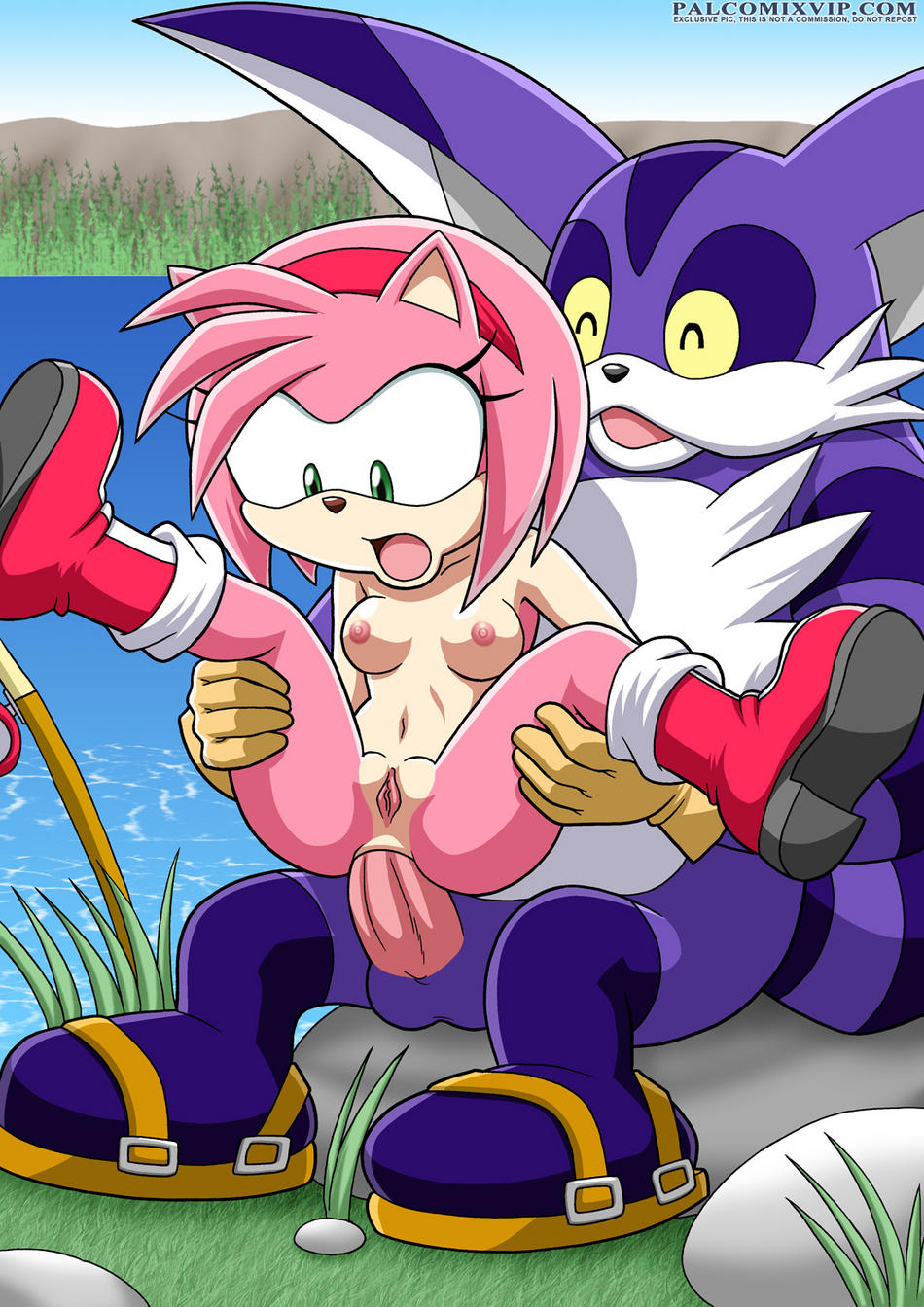 amy rose, big the cat, sonic (series), highres, anal, ass, boots, breasts, furry, open mouth, pussy, sex, spread legs