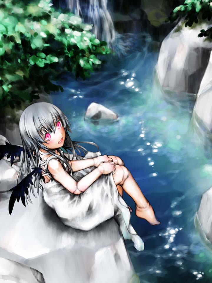 kakashichi, suigintou, rozen maiden, silver hair, 00s, barefoot, doll joints, feet, from above, joints, long hair, nature, pink eyes, solo, water, wings