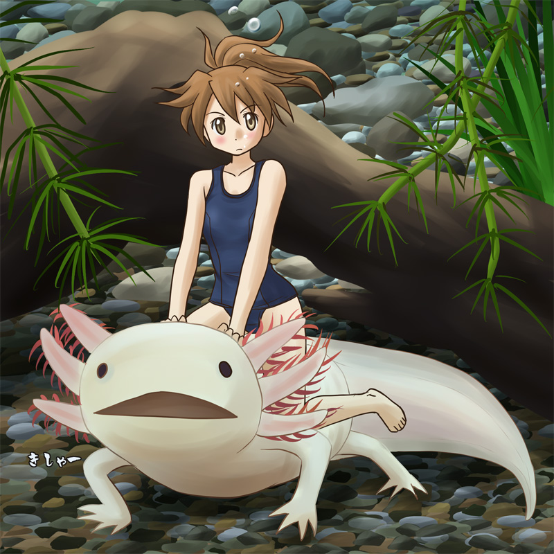 lielos, poniko (lielos), original, 1girl, axolotl, barefoot, brown eyes, brown hair, bubble, feet, female focus, looking at viewer, matching hair/eyes, mini person, minigirl, one-piece swimsuit, ponytail, riding, salamander, school swimsuit, seaweed, solo, swimsuit, toes, underwater, water