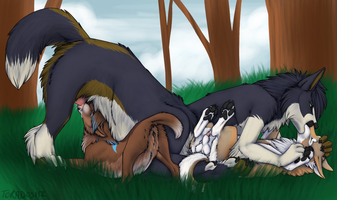 Rule34 – If it exists, there is porn of it / toradoshi / 416845