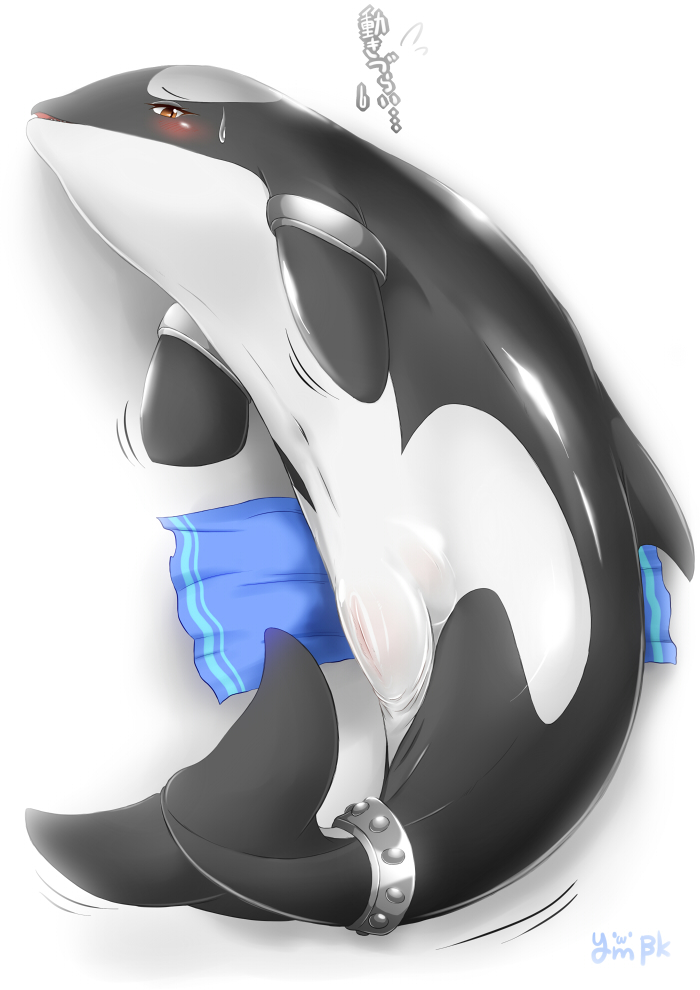 Rule34 – If it exists, there is porn of it / ymbk / 417068