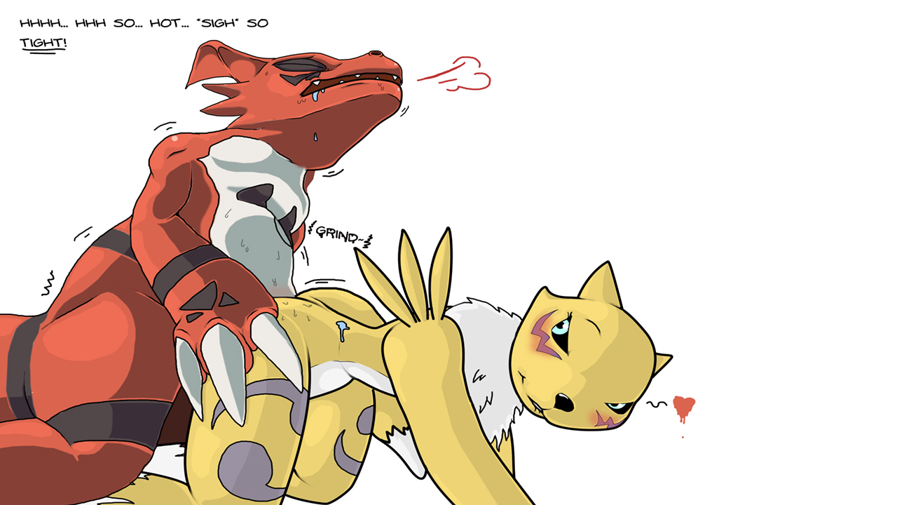 Rule34 – If it exists, there is porn of it / guilmon, renamon / 417276