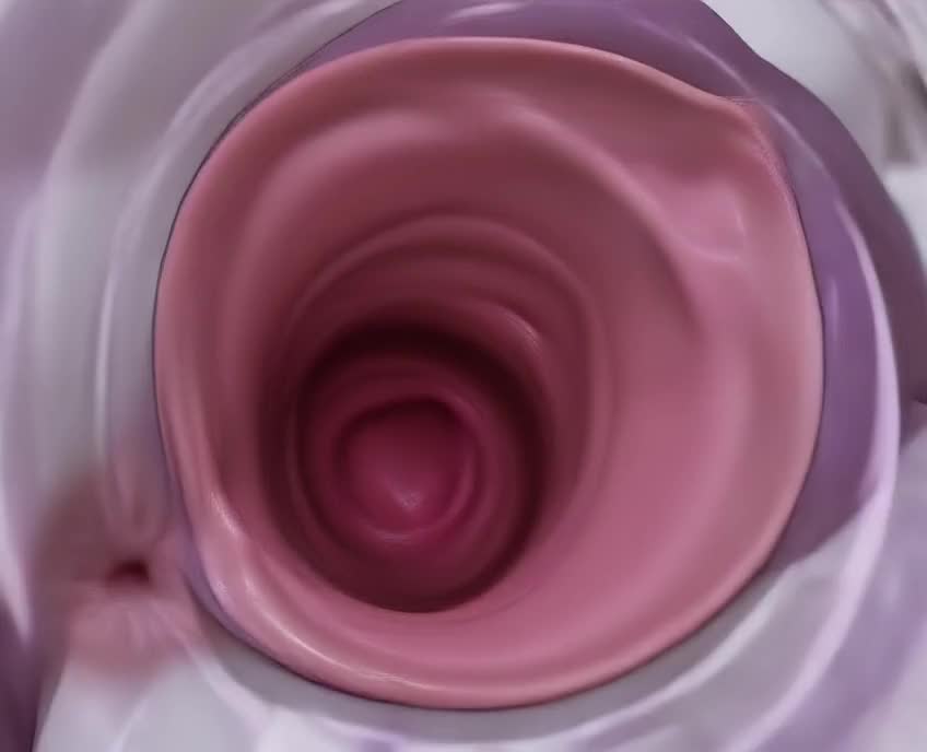 Rule34 – If it exists, there is porn of it / mewtwo / 8724661