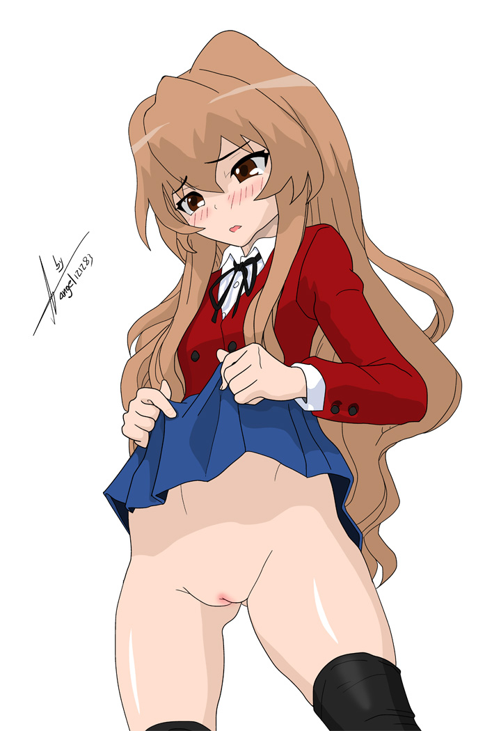 angel211283, aisaka taiga, toradora!, blush, pussy, school uniform, solo, uncensored