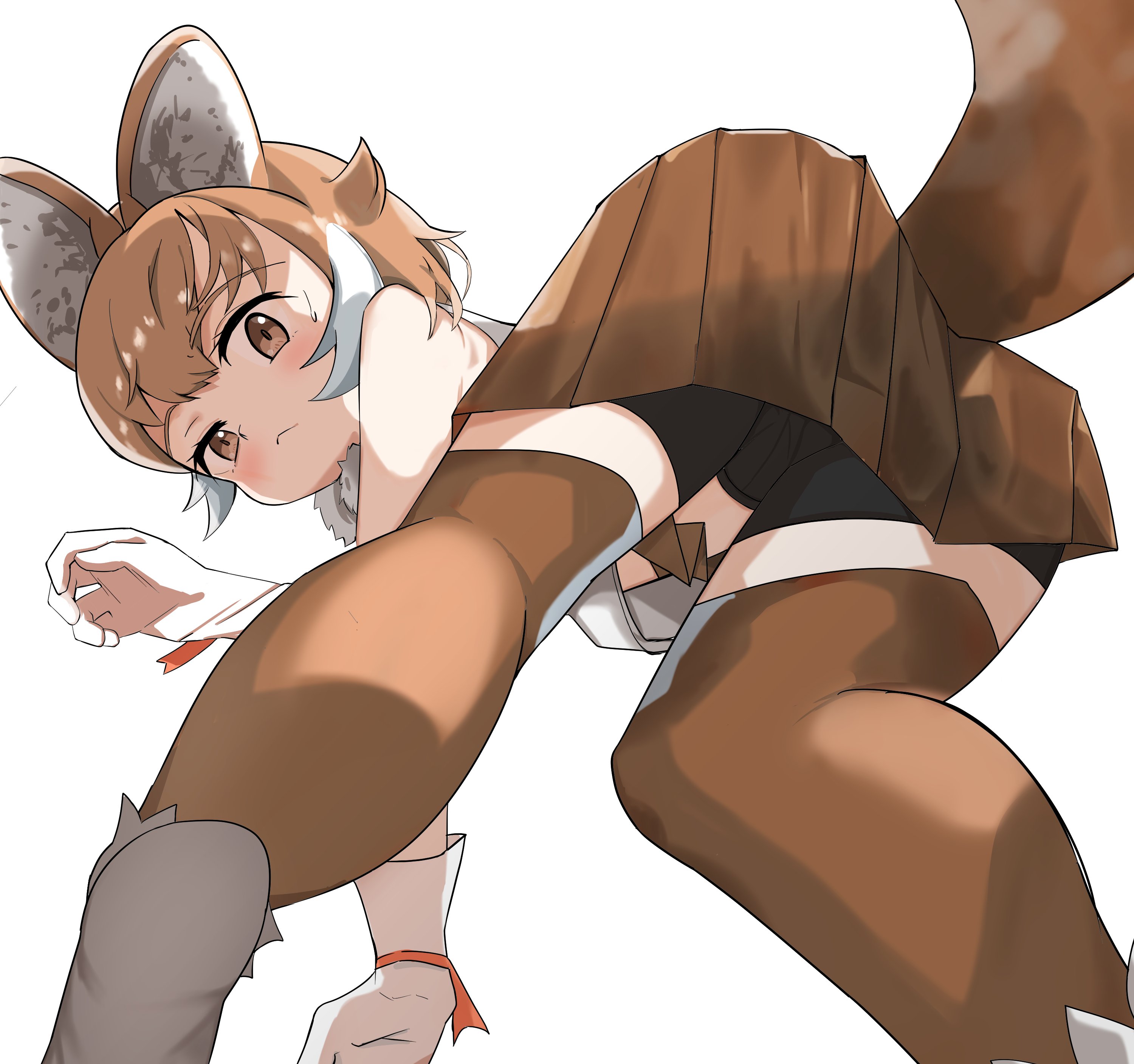 llb, dhole (kemono friends), kemono friends, kemono friends 3, absurdres, commentary request, highres, 1girl, animal ears, bare shoulders, bike shorts, bike shorts under skirt, blush, boots, brown eyes, brown hair, brown skirt, brown thighhighs, dog ears, dog girl, dog tail, from below, gloves, hair between eyes, looking at viewer, multicolored hair, pleated skirt, shirt, short hair, sidelocks, skirt, sleeveless, solo, sweatdrop, tail, thighhighs, two-tone thighhighs, white boots, white gloves, white hair, white shirt, white thighhighs, zettai ryouiki