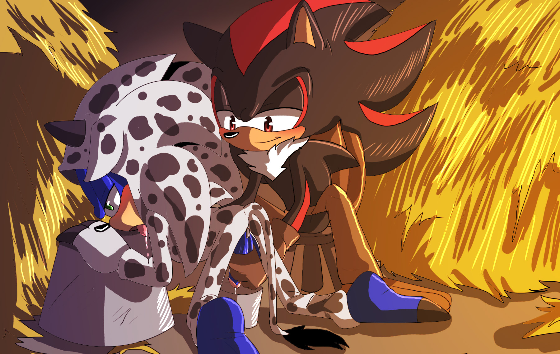 Rule34 – If it exists, there is porn of it / angelofhapiness, shadow the hedgehog, sonic the hedgehog / 419654