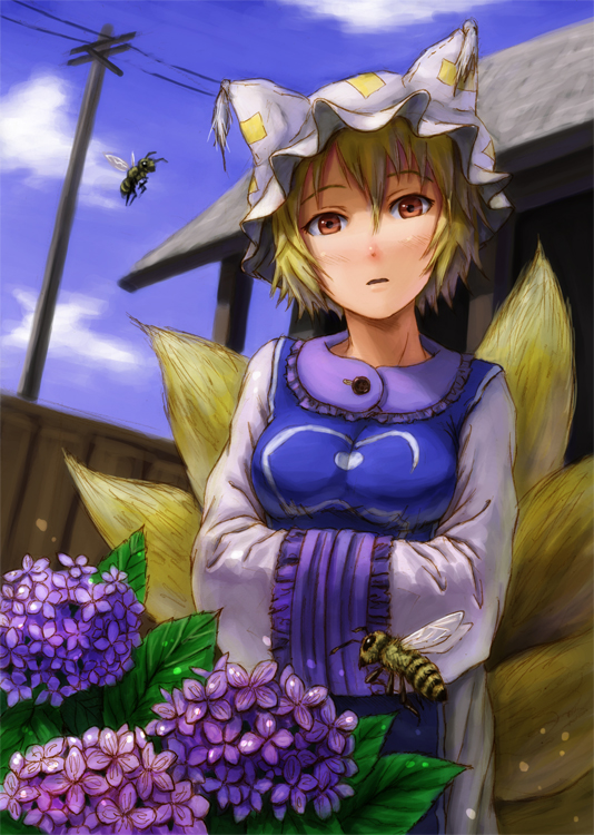 kurione (pixiv), kurione (zassou), yakumo ran, touhou, bad id, bad pixiv id, 1girl, animal hat, bee, blonde hair, blue sky, bug, day, female focus, flower, hands in opposite sleeves, hat, hydrangea, insect, kitsune, kyuubi, long sleeves, looking at viewer, mob cap, multiple tails, orange eyes, outdoors, power lines, short hair, sky, solo, tail, tassel, utility pole, white hat, wide sleeves