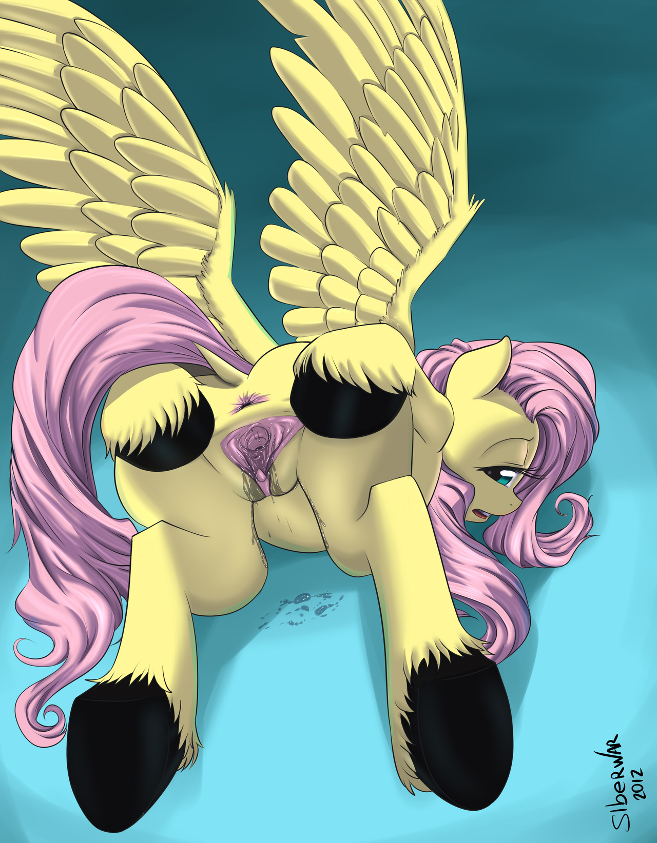 Rule34 – If it exists, there is porn of it / siberwar, fluttershy (mlp) / 420196