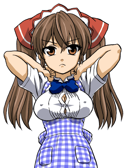 alicia melchiott, senjou no valkyria (series), senjou no valkyria 1, 00s, brown eyes, brown hair, maid, twintails