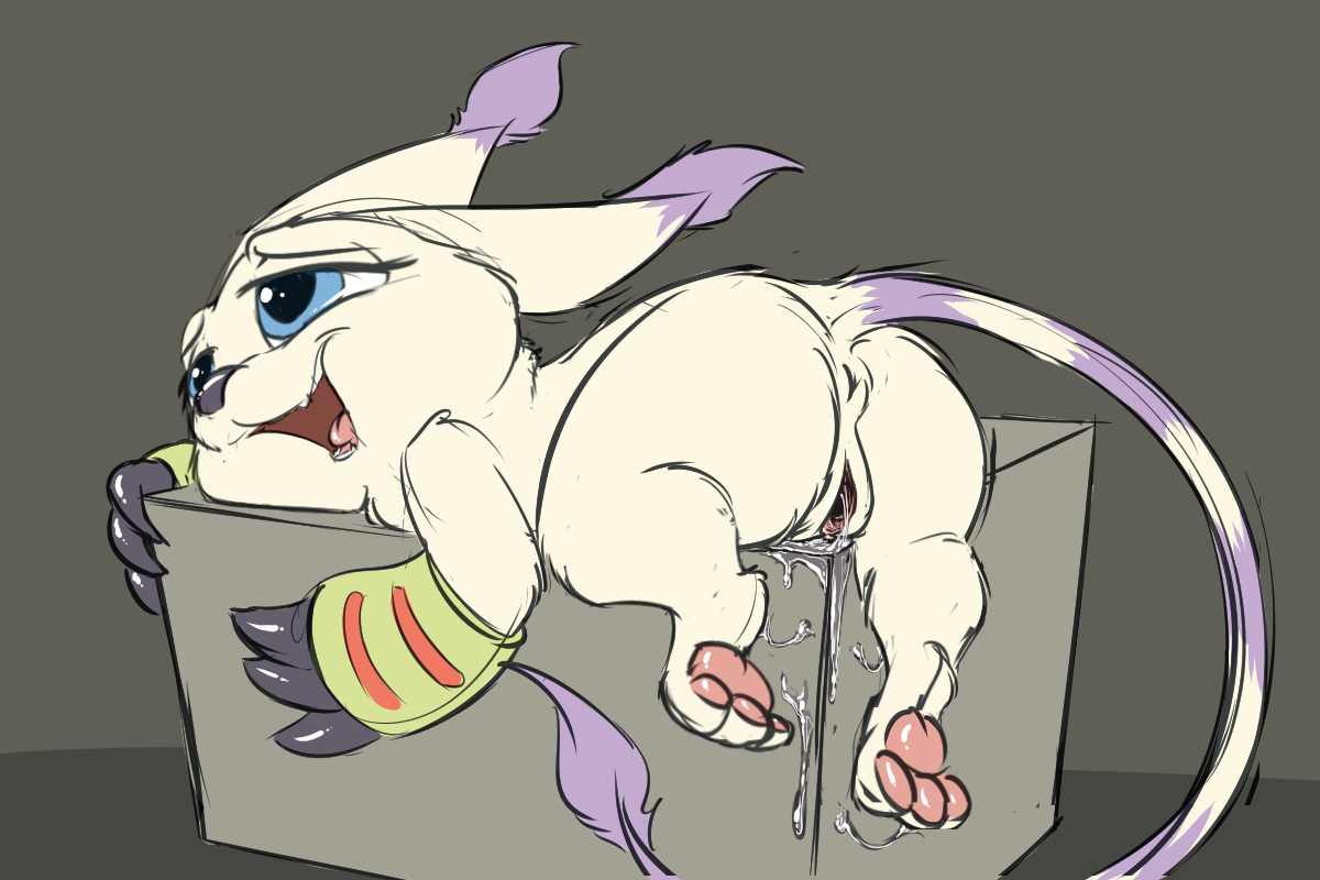 Rule34 – If it exists, there is porn of it / carrot (artist), gatomon, tailmon / 420403
