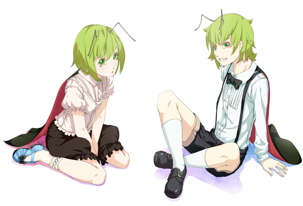 sousou (sousouworks), wriggle nightbug, touhou, 1boy, 1girl, antennae, arm support, between legs, bloomers, blouse, bow, bowtie, cape, dual persona, full body, genderswap, genderswap (ftm), green eyes, green hair, grin, hand between legs, kneehighs, mary janes, realistic, shirt, shoes, short hair, shorts, simple background, sitting, smile, socks, suspenders, underwear, wariza, white socks