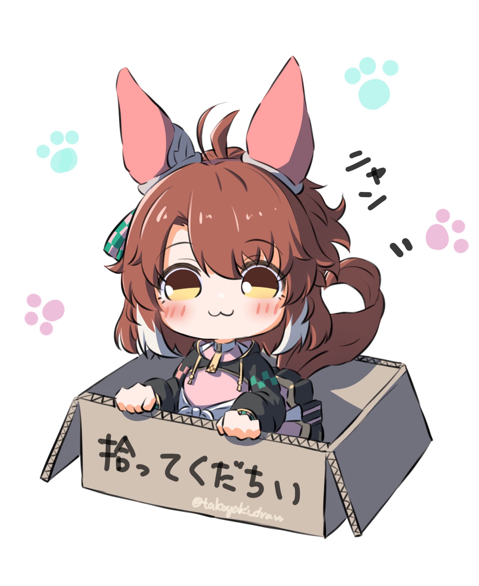 takoyaki (takoyaki draw), dantsu flame (center spotlight) (umamusume), dantsu flame (umamusume), umamusume, highres, 1girl, :3, ahoge, animal ears, black shrug, blush, bow, box, breasts, brown eyes, brown hair, cardboard, cardboard box, checkered ribbon, closed mouth, ear covers, ear ribbon, for adoption, hair between eyes, horse ears, horse girl, horse tail, in box, in container, looking at viewer, multicolored hair, paw print, shirt, shrug (clothing), smile, solo, tail, tied shirt, white hair