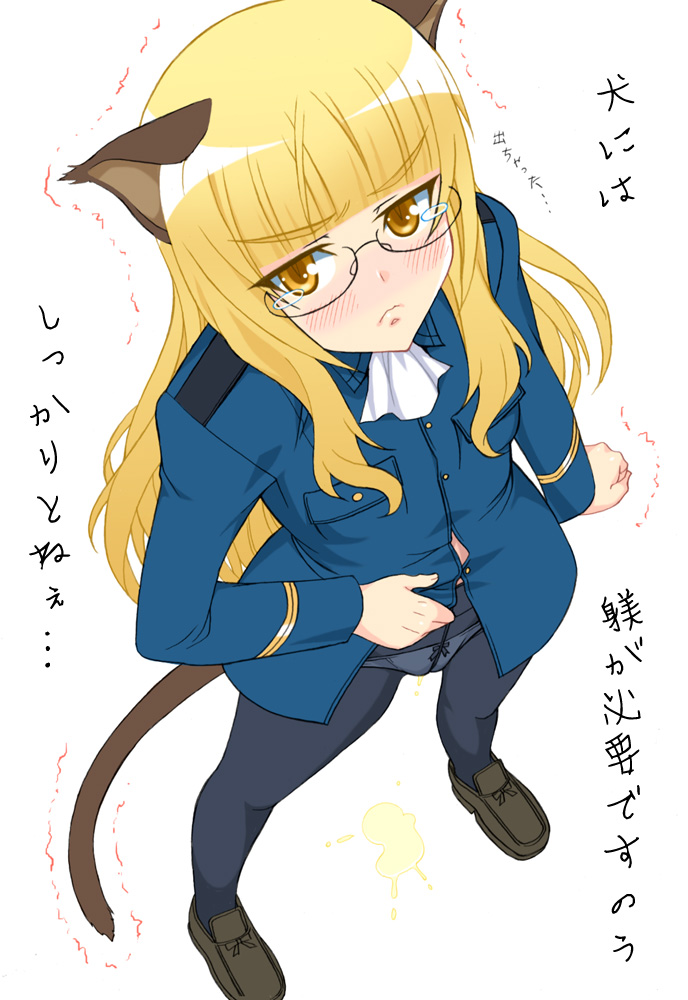shichimenchou, perrine h. clostermann, strike witches, world witches series, 00s, 1girl, animal ears, blonde hair, blush, cat ears, cat tail, crotch seam, female focus, glasses, long hair, panties, panties under pantyhose, pantyhose, pee, peeing, peeing self, simple background, solo, tail, tears, trembling, underwear, wet, wet clothes, wet panties, yellow eyes