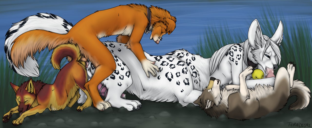 Rule34 – If it exists, there is porn of it / toradoshi / 421406