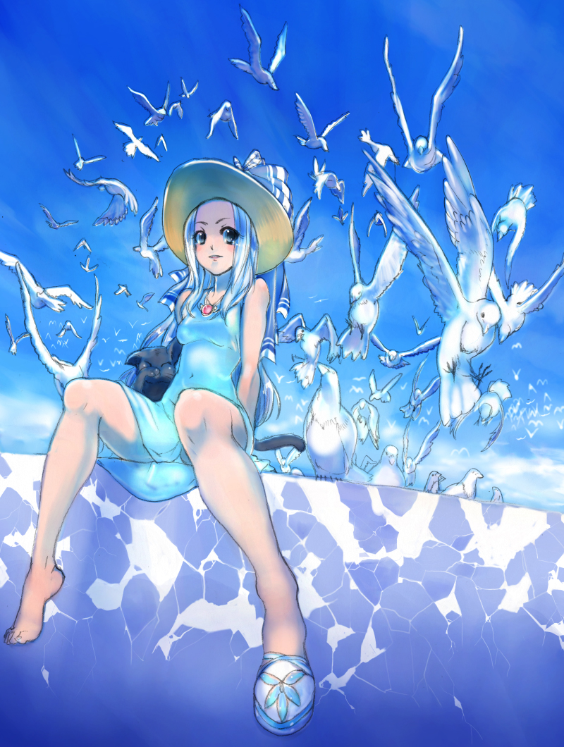 akuriru, tori kaku, original, bad id, bad pixiv id, barefoot, bird, blue eyes, blue hair, blush, cat, day, dress, hat, legs, long hair, shoes, single shoe, sky, solo
