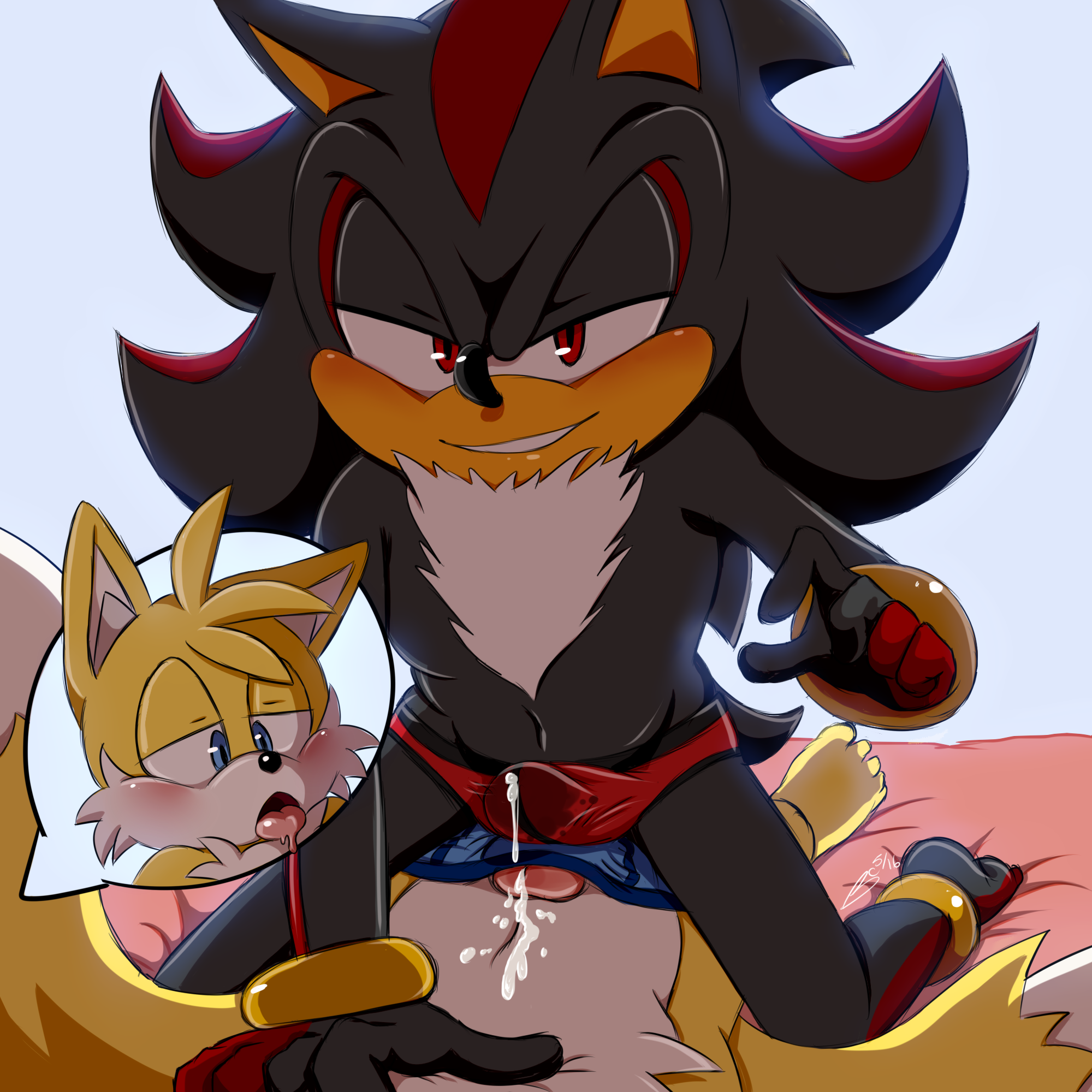 Rule34 – If it exists, there is porn of it / bluechika, shadow the hedgehog, tails / 422510