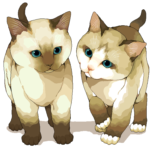 murata (bakeneko soudou), original, animal, animal focus, baby animal, blue eyes, cat, kitten, no humans, siamese cat