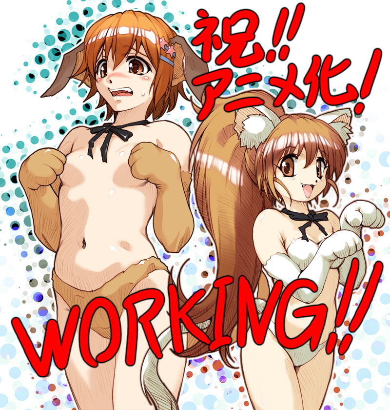 hisahiko, inami mahiru, taneshima popura, working!!, 2girls, animal ears, breasts, brown eyes, brown hair, choker, covering breasts, covering privates, long hair, multiple girls, ponytail, short hair, tail, topless female