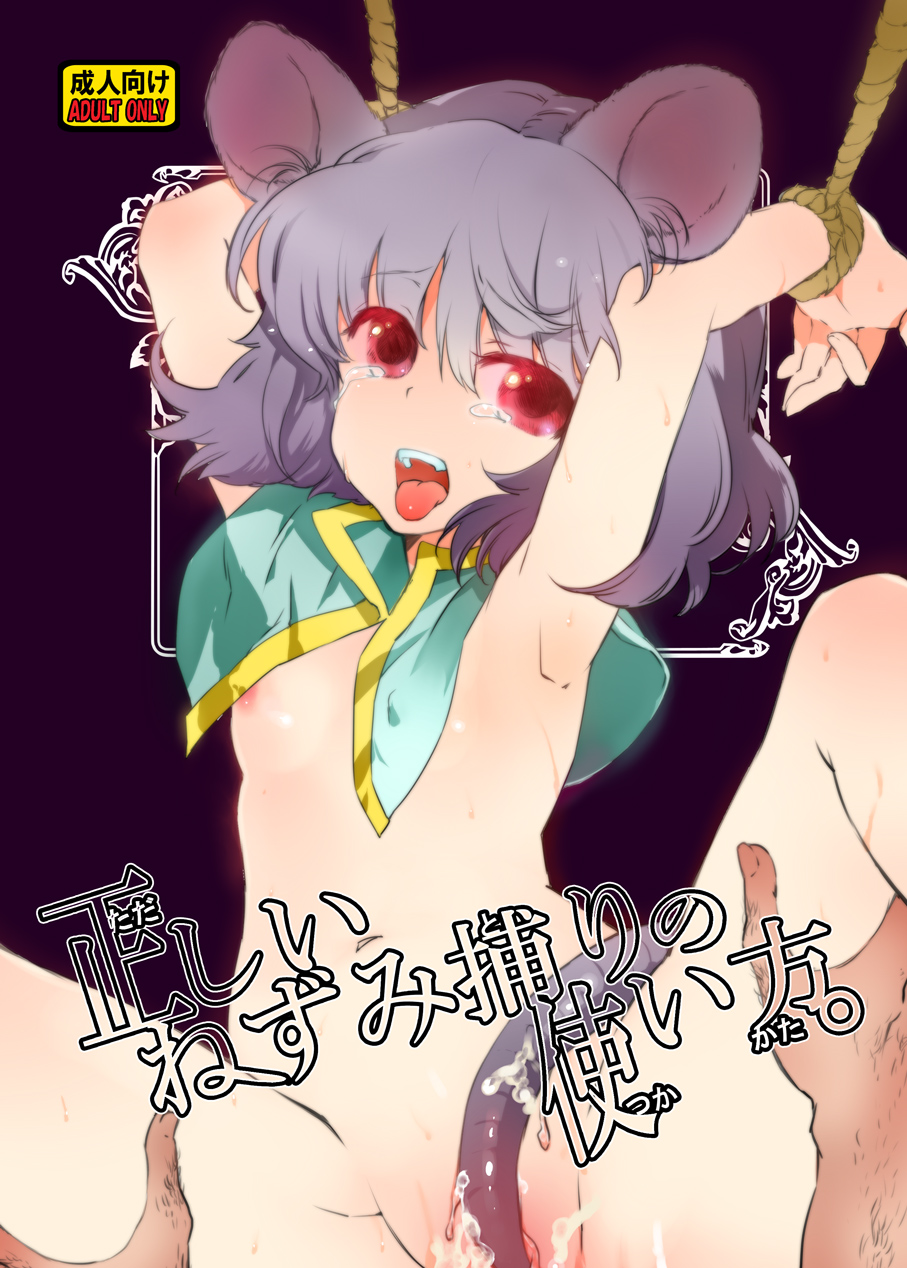 narumi (momo27), narumi (uminari), narumi, nazrin, touhou, highres, 1girl, animal ears, bdsm, between legs, blush, bondage, bound, capelet, female focus, flat chest, grey hair, loli, mouse ears, mouse tail, nipples, red eyes, short hair, solo, spread legs, tail, tail between legs, tears, tongue, uncensored