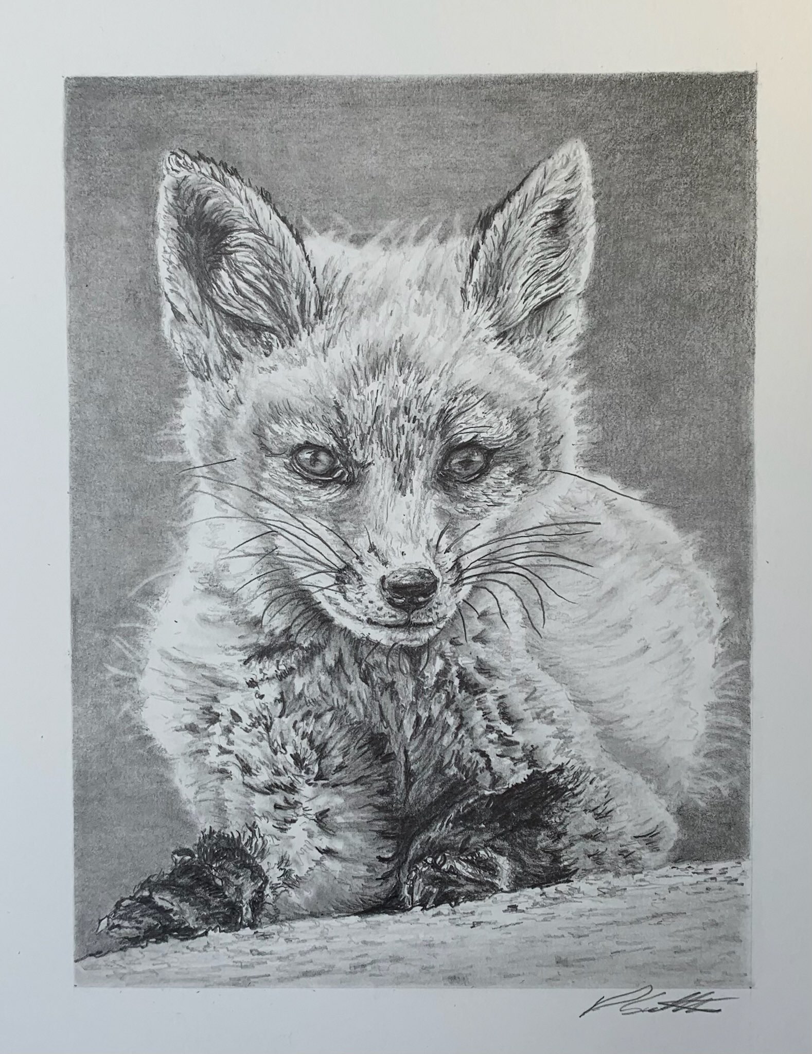 original, commentary, english commentary, graphite (medium), highres, photo-referenced, traditional media, animal, animal focus, david salter, fox, greyscale, monochrome, no humans, photorealistic, realistic