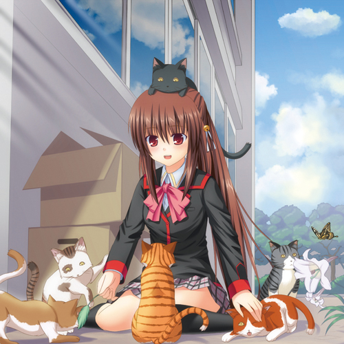 dinyc, natsume rin, little busters!, lowres, 1girl, bow, box, brown hair, bug, butterfly, cat, female focus, flower, insect, long hair, pink bow, plaid clothes, plaid skirt, ponytail, red eyes, school uniform, skirt, solo, too many, too many cats
