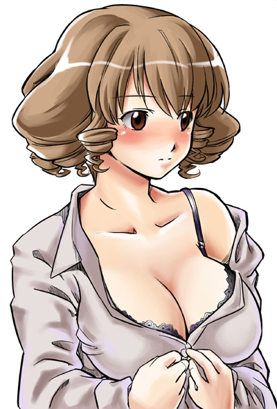 hinaichigo, rozen maiden, artist request, 00s, 1girl, aged up, alternate hair color, blush, bra, breasts, brown eyes, brown hair, casual, cleavage, female focus, huge breasts, large breasts, lingerie, solo, underwear, undressing