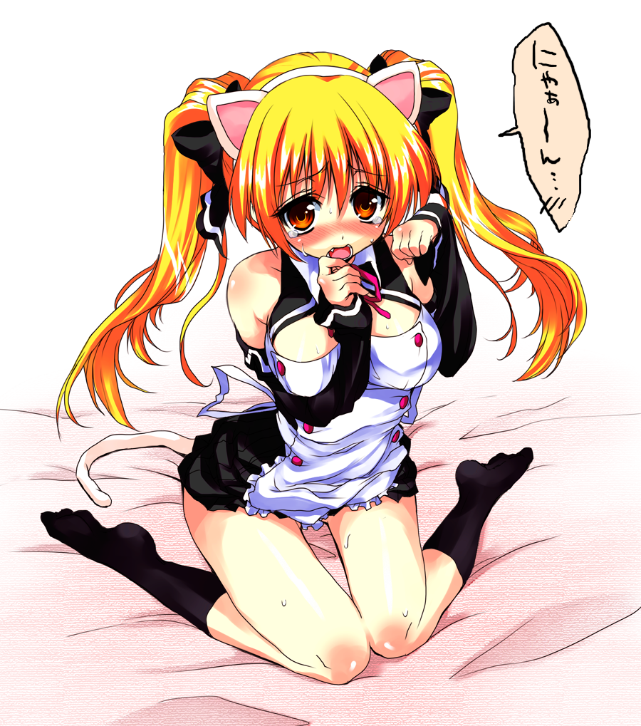 kajo, mian (dream c club), dream c club, dream c club (series), bad id, bad pixiv id, 1girl, animal ears, blush, breasts, cat ears, cat girl, female focus, full body, large breasts, legs, paw pose, sitting, solo, tears, wariza