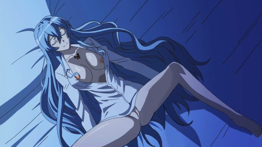 Rule34 – If it exists, there is porn of it / nekomate14 edited, esdeath (akame ga kill!) / 427576
