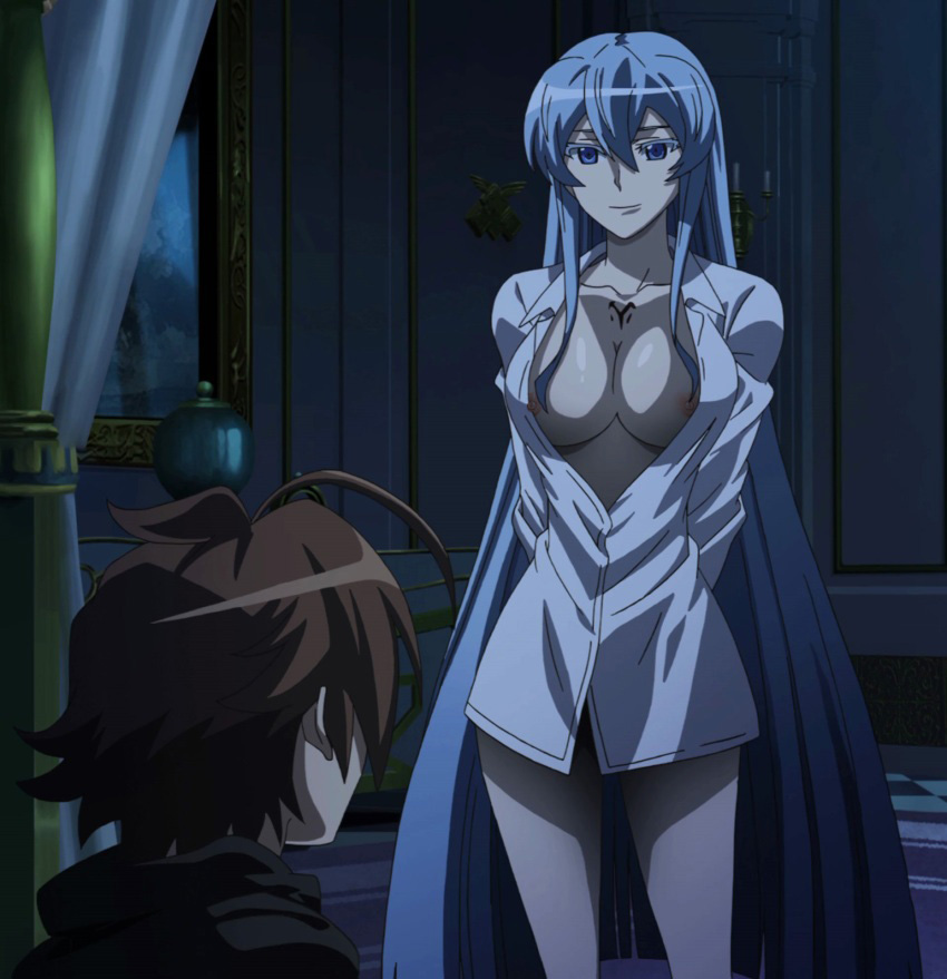 Rule34 – If it exists, there is porn of it / nekomate14 edited, esdeath (akame ga kill!), tatsumi (akame ga kill!) / 427583