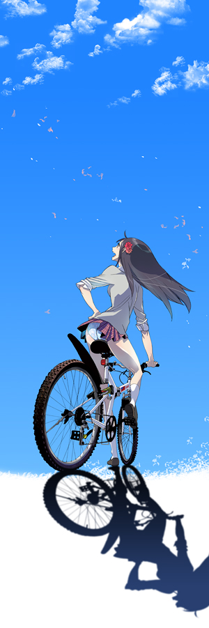 dalc rose, taiwan (hetalia), axis powers hetalia, bad id, bad pixiv id, long image, tall image, 00s, 1girl, bicycle, black hair, female focus, flower, long hair, outdoors, panties, rose, shadow, skirt, sky, solo, underwear, upskirt