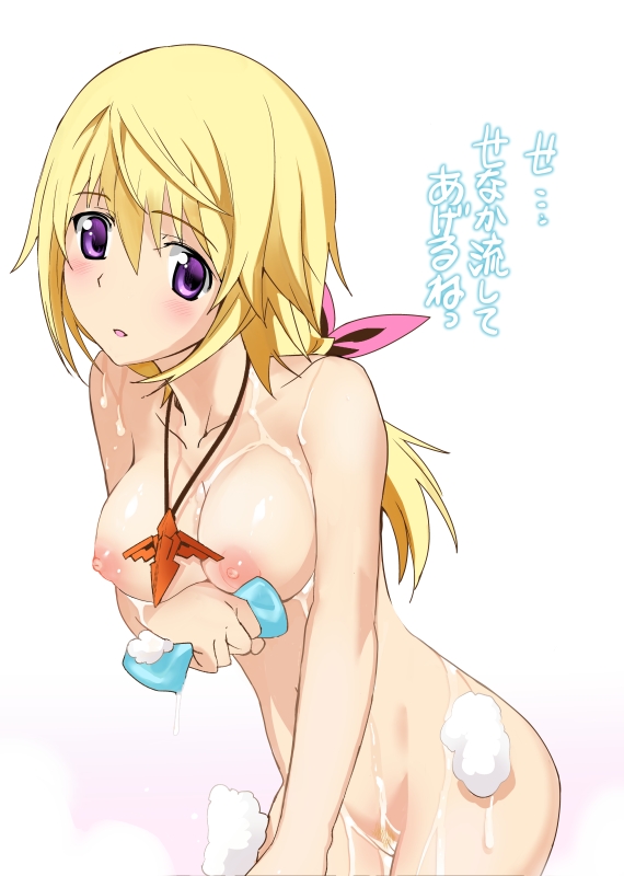 Rule34 – If it exists, there is porn of it / robina, charlotte dunois / 427990