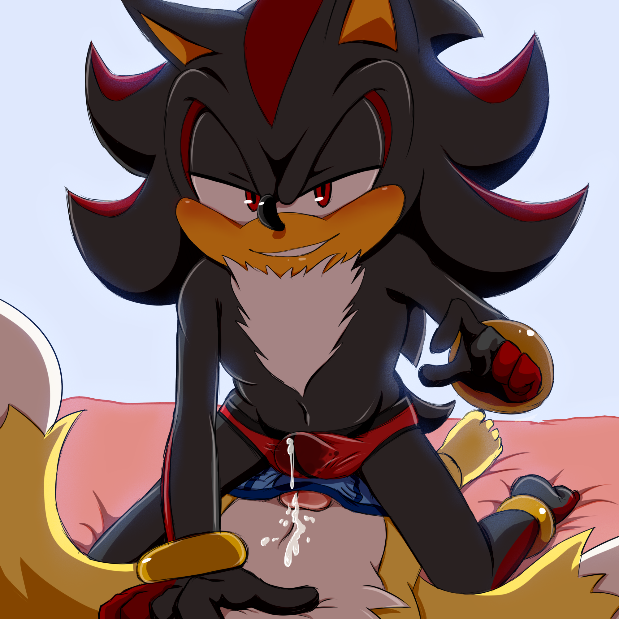 Rule34 – If it exists, there is porn of it / bluechika, shadow the hedgehog, tails / 428059