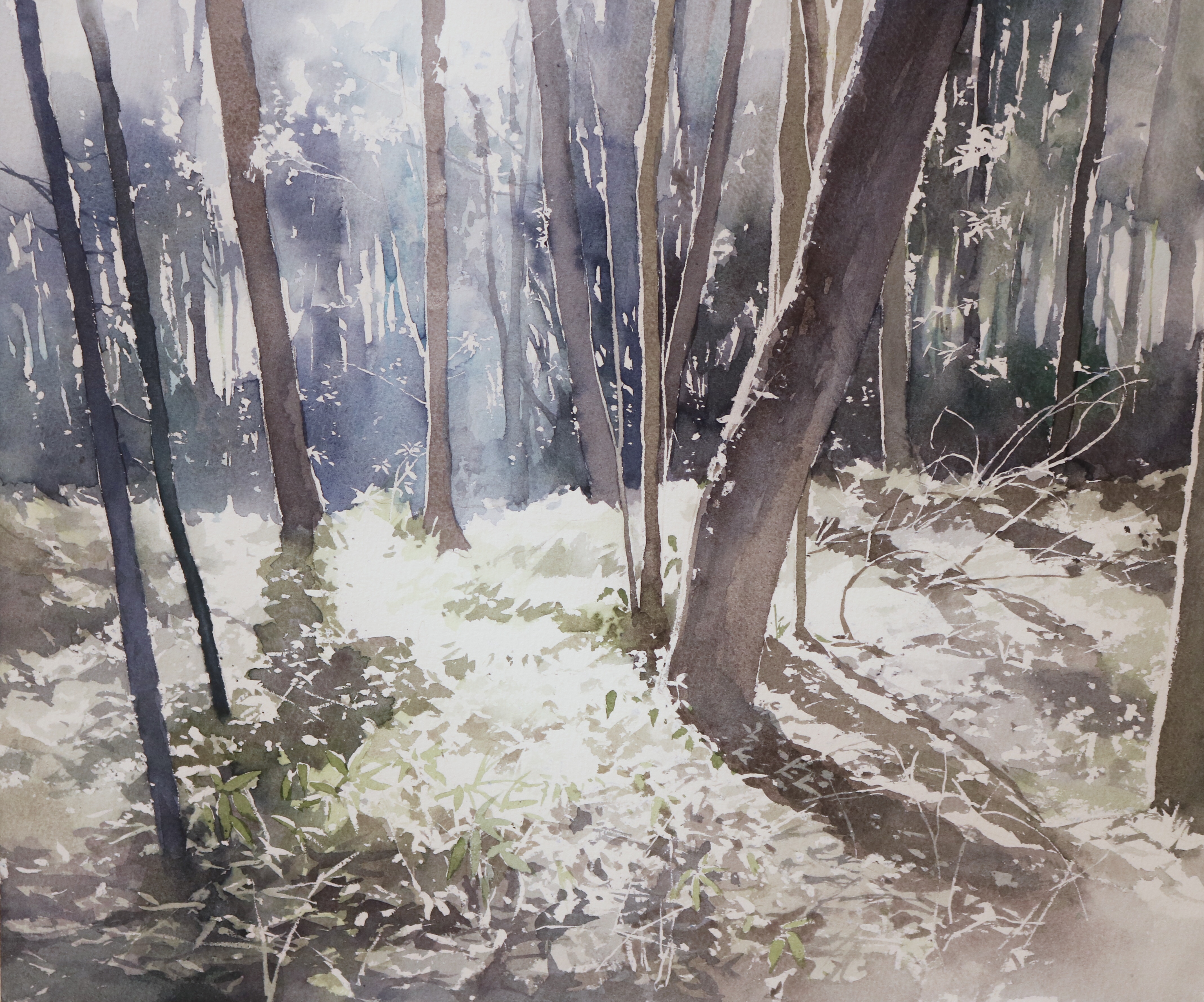 toyonaga ryouhei, original, absurdres, commentary request, highres, painting (medium), traditional media, watercolor (medium), day, forest, nature, no humans, outdoors, scenery, shadow, tree