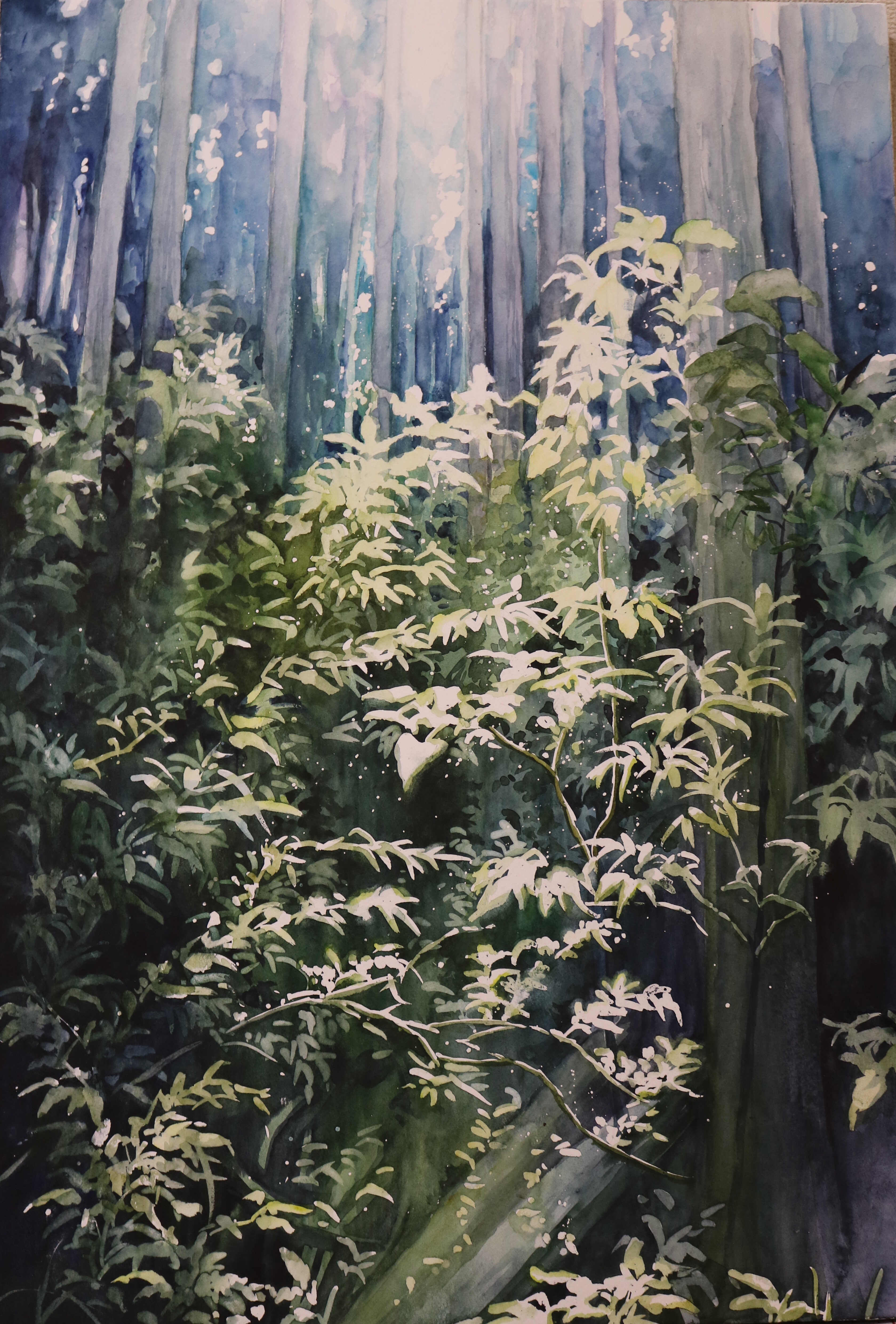 toyonaga ryouhei, original, absurdres, commentary request, highres, painting (medium), traditional media, watercolor (medium), forest, nature, no humans, outdoors, scenery, tree