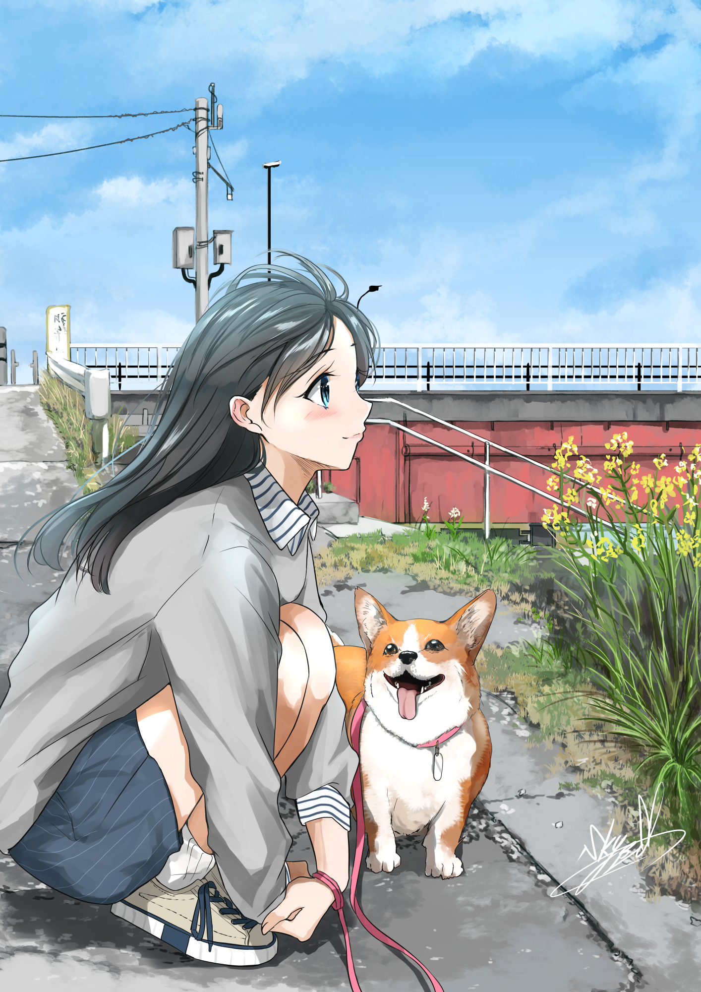 soragane (banisinngurei), original, commentary request, highres, 1girl, animal, black hair, blue eyes, collared shirt, day, dog, from side, full body, holding, holding leash, leash, long hair, long sleeves, looking up, outdoors, power lines, profile, rapeseed blossoms, shirt, shoes, shorts, sky, smile, sneakers, socks, solo, squatting, striped clothes, striped shorts, utility pole, welsh corgi