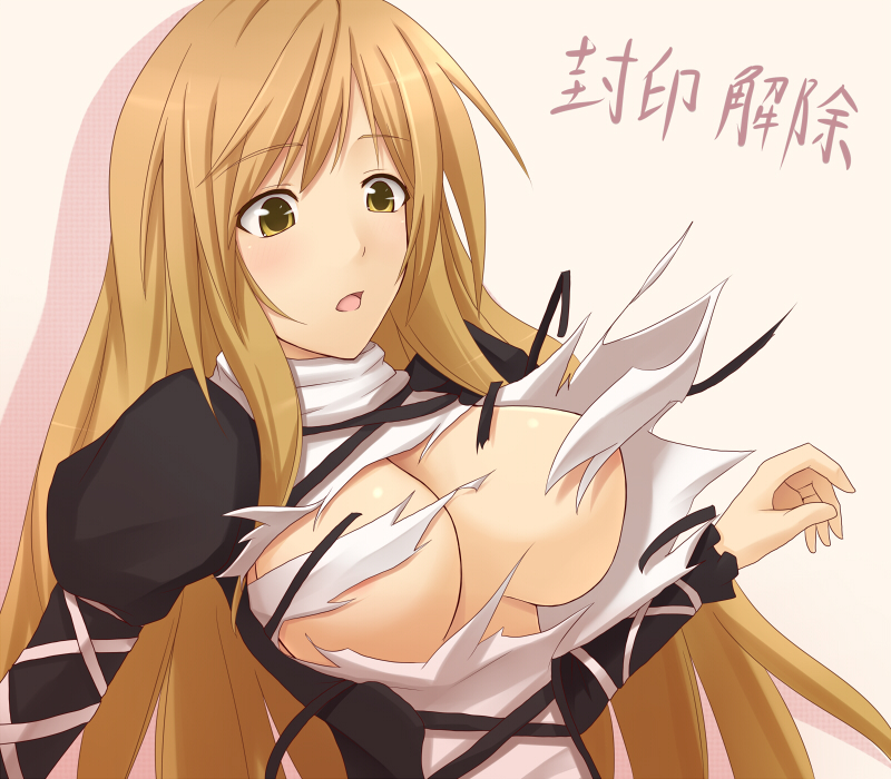 akitsuki karasu, hijiri byakuren, touhou, bad id, bad pixiv id, 1girl, blonde hair, breasts, brown hair, exploding clothes, female focus, large breasts, long hair, solo, tearing clothes, torn clothes, wardrobe malfunction