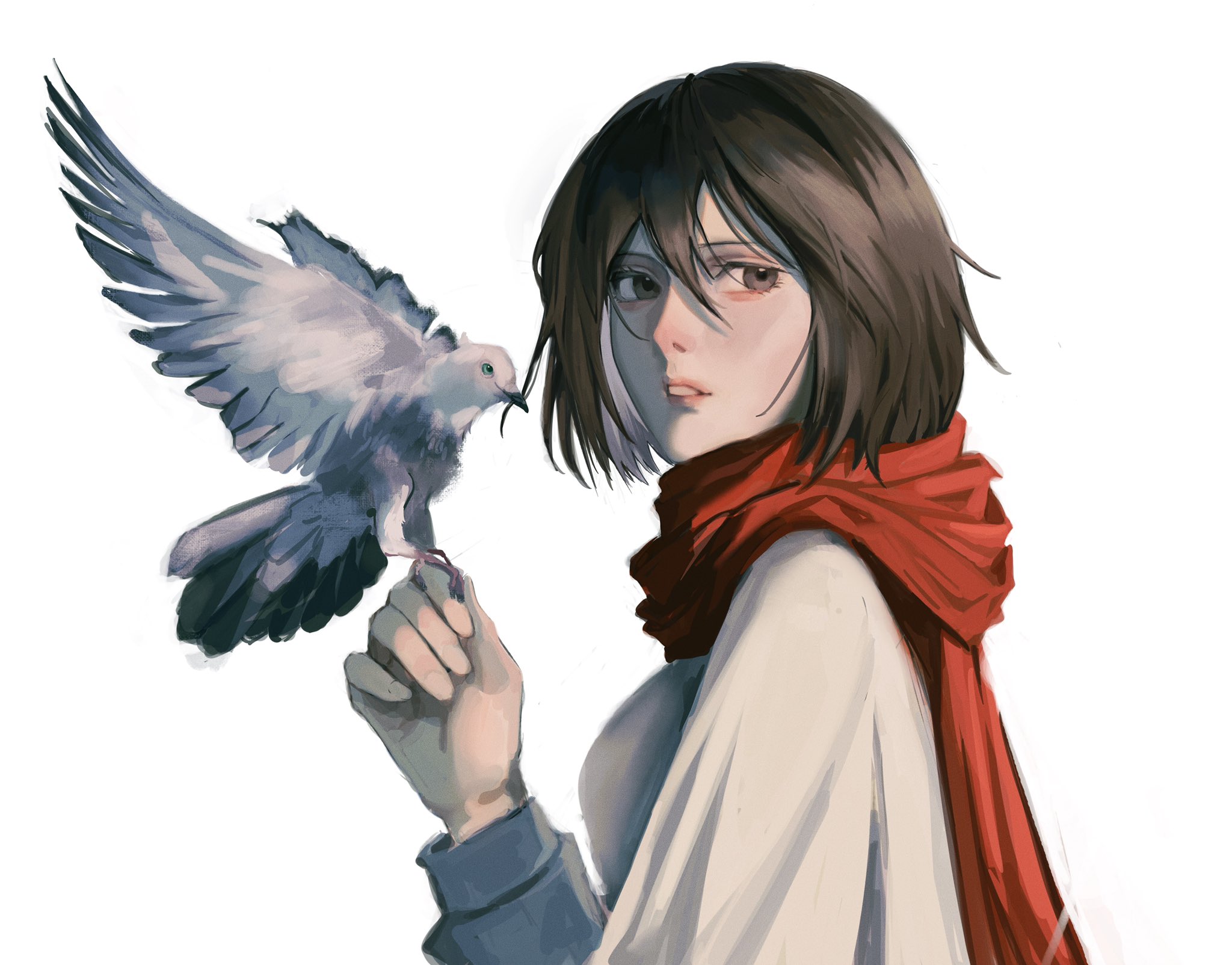 eulbhitomi, mikasa ackerman, shingeki no kyojin, commentary, english commentary, highres, 1girl, bird, bird on hand, black hair, brown eyes, dove, long sleeves, looking at viewer, parted lips, scarf, short hair, simple background, solo, upper body, white background