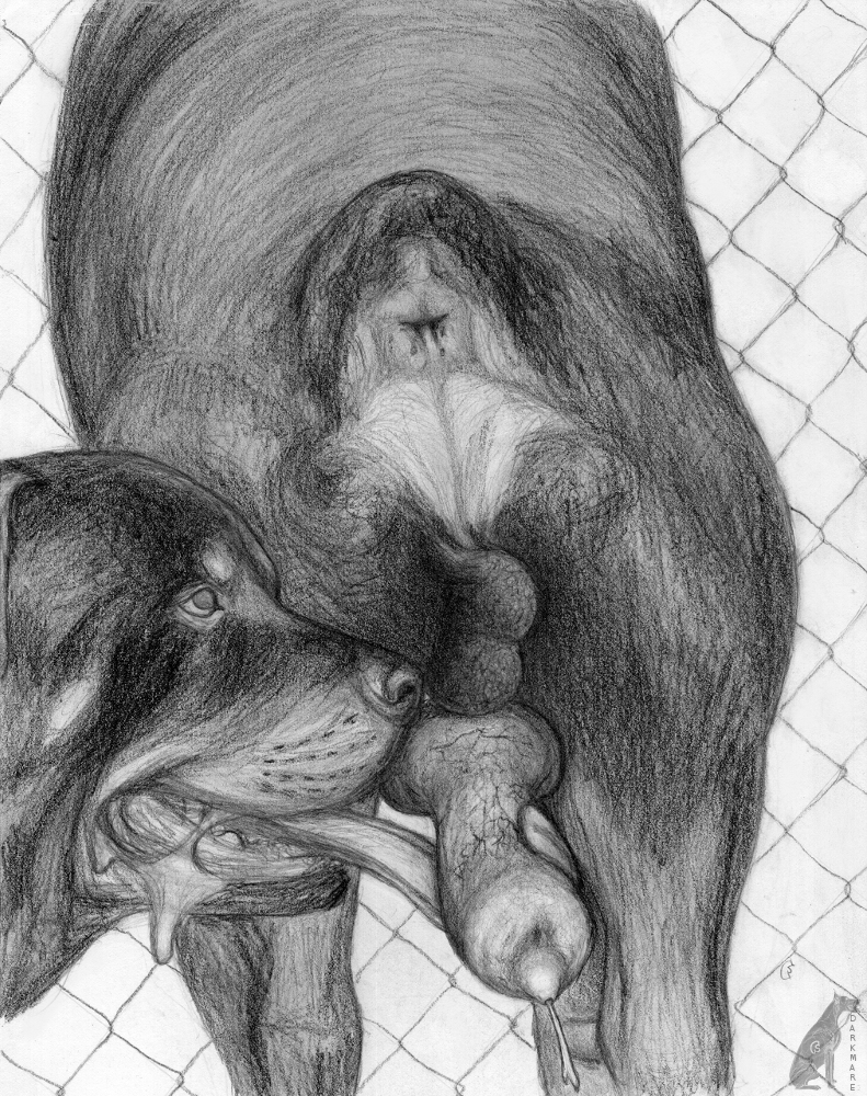 Rule34 – If it exists, there is porn of it / darkmare / 428943