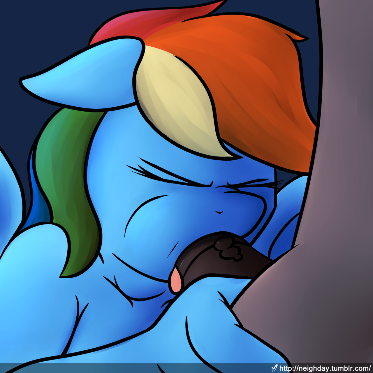 Rule34 – If it exists, there is porn of it / neighday, rainbow dash (mlp) / 429575
