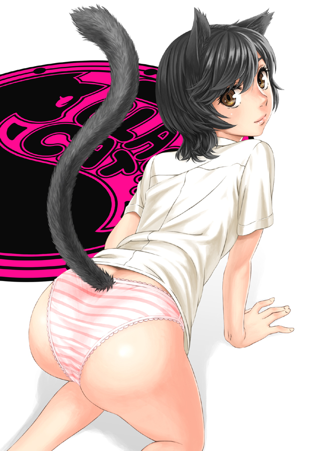 kame (pixiv), original, 1girl, all fours, animal ears, ass, black hair, blouse, brown eyes, cat ears, cat girl, cat tail, female focus, lace, lace-trimmed panties, lace trim, looking back, no pants, panties, pink panties, shirt, short hair, solo, striped clothes, striped panties, tail, underwear, white shirt