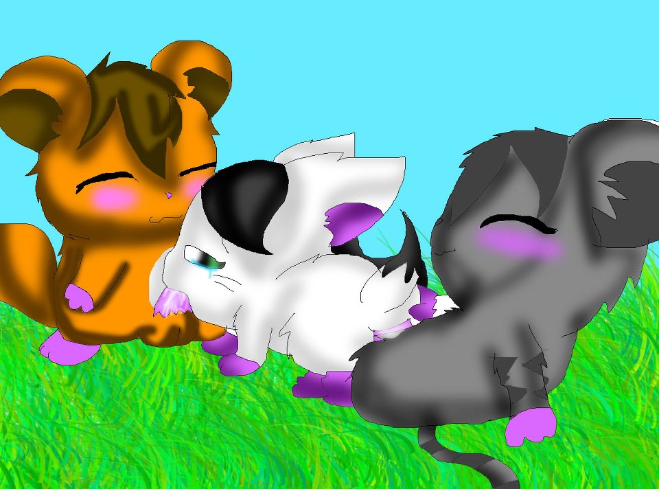 Rule34 – If it exists, there is porn of it / jewelpet (species), titana (jewelpet), tour (jewelpet) / 430204