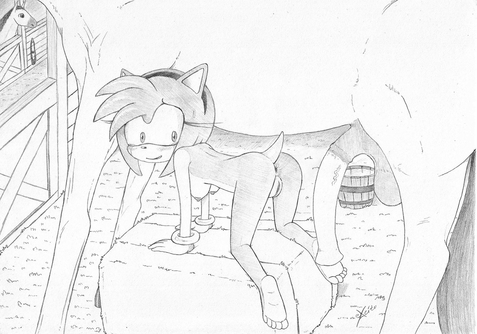 Rule34 – If it exists, there is porn of it / excito, amy rose / 430247