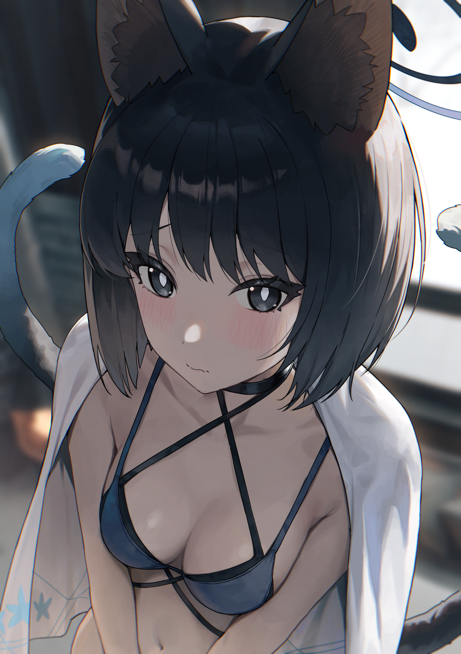 suumon, kikyou (blue archive), kikyou (swimsuit) (blue archive), blue archive, commentary request, highres, 1girl, animal ears, bikini, black eyes, black hair, blue bikini, blue halo, breasts, bright pupils, cat ears, cat girl, cat tail, closed mouth, collarbone, halo, looking at viewer, medium breasts, multiple tails, official alternate costume, short hair, solo, swimsuit, tail, white pupils