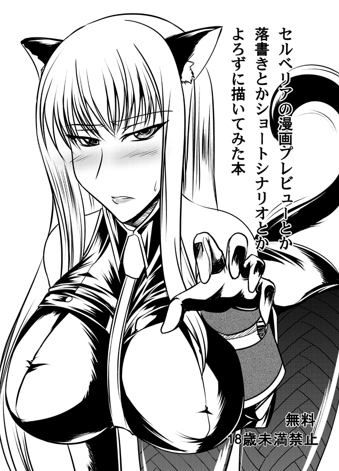 kanten, selvaria bles, senjou no valkyria, senjou no valkyria (series), senjou no valkyria 1, translation request, 00s, animal ears, blush, cat ears, cat tail, long hair, military, military uniform, pantyhose, tail