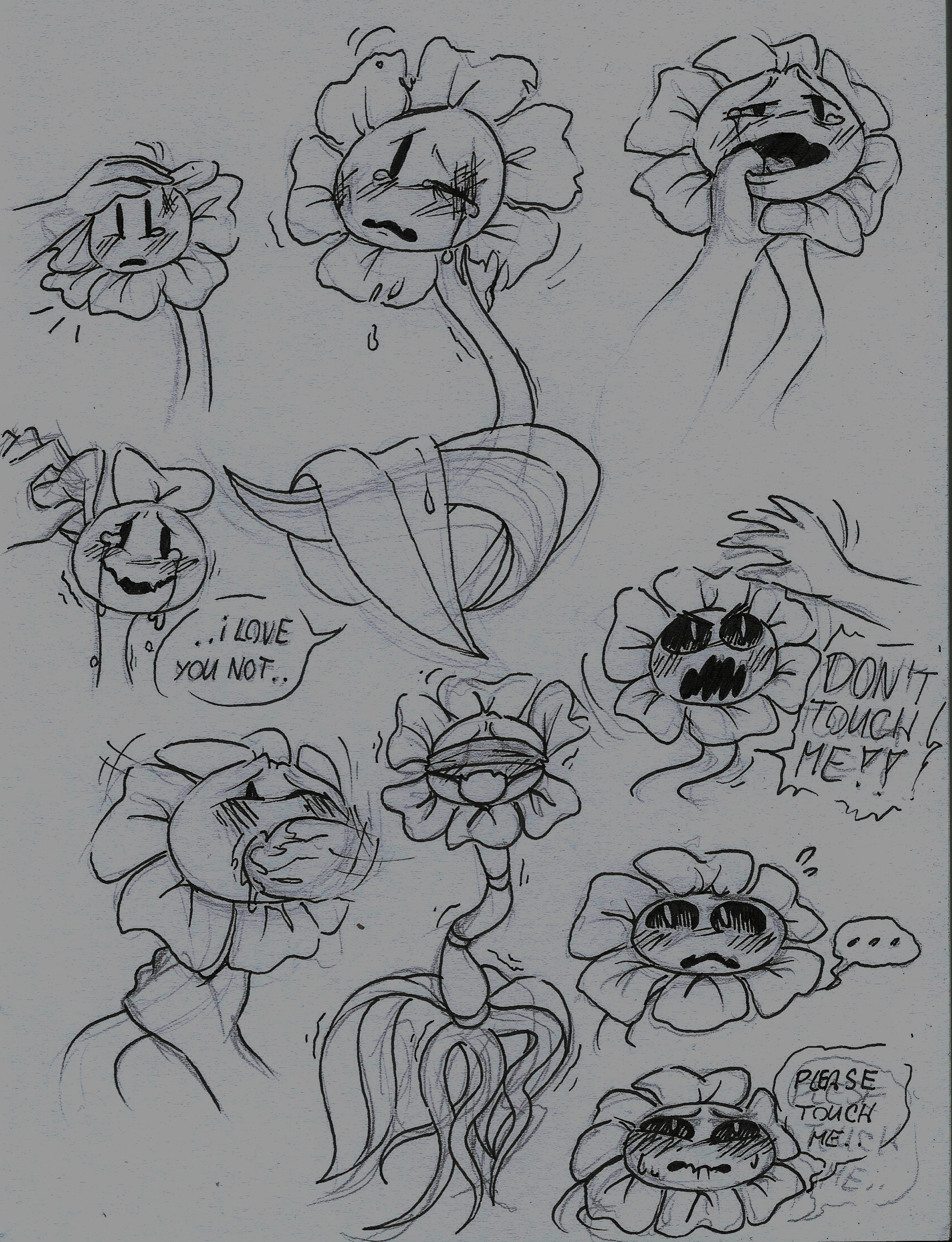 Rule34 – If it exists, there is porn of it / melonpussy, flowey the flower / 430790